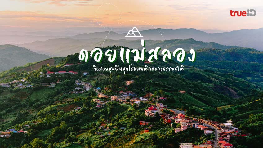 ดอยแม่สลอง