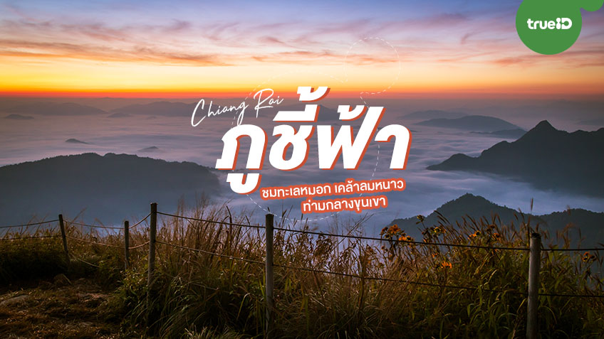  ภูชี้ฟ้า   